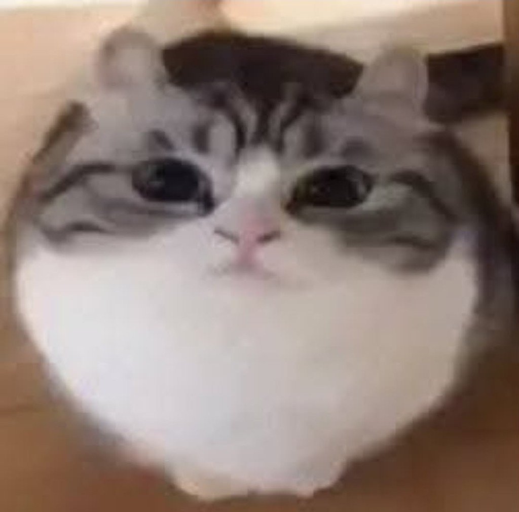 Default pet 16