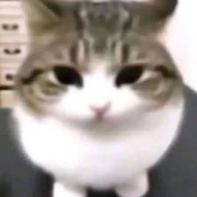 Default pet 13