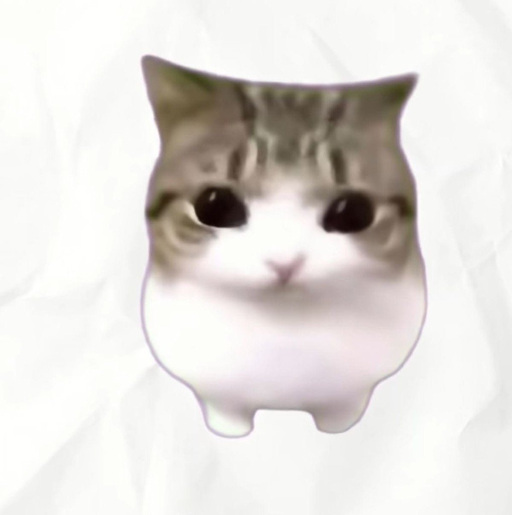 Default pet 8