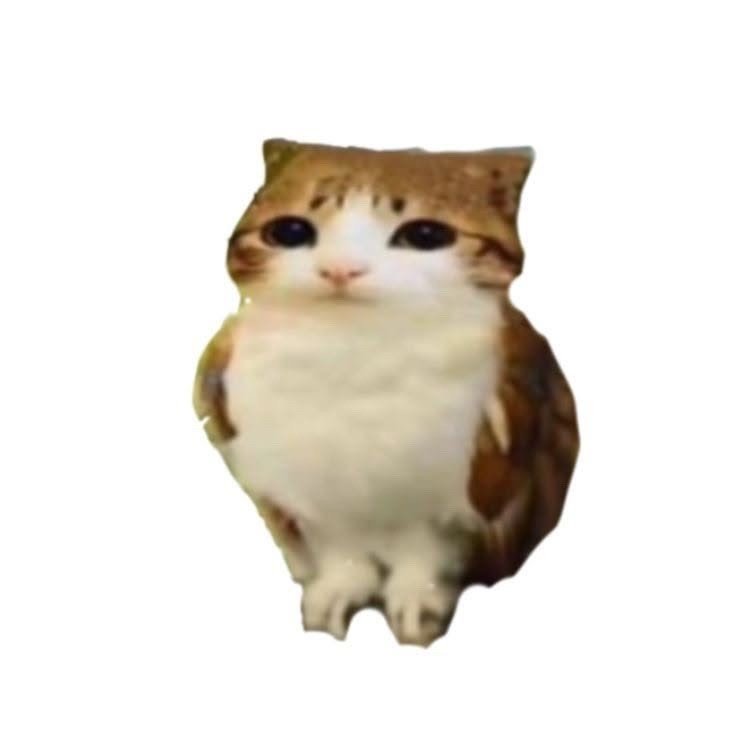 Default pet 12